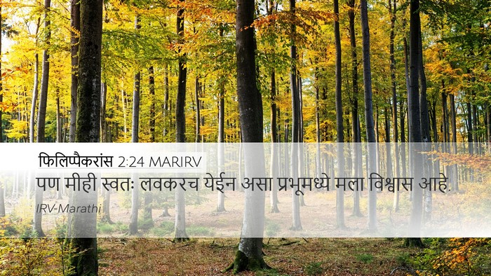फिलिप्पैकरांस 2:24 MARIRV Desktop Wallpaper - पण मीही स्वतः - Desktop Bible Verse Wallpaper