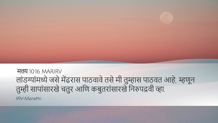 मत्तय 10:16 MARIRV Bible Verse Image