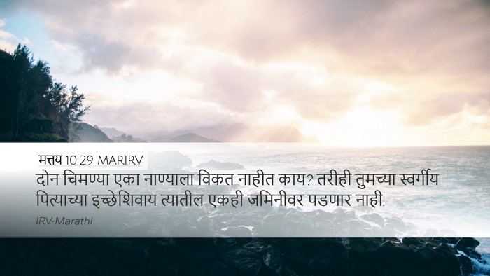मत्तय 10:29 MARIRV Bible Verse Image