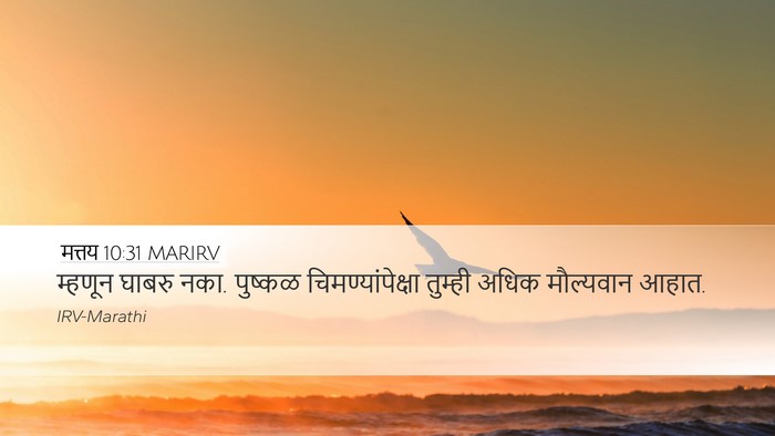 मत्तय 10:31 MARIRV Bible Verse Image