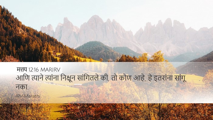 मत्तय 12:16 MARIRV Bible Verse Image