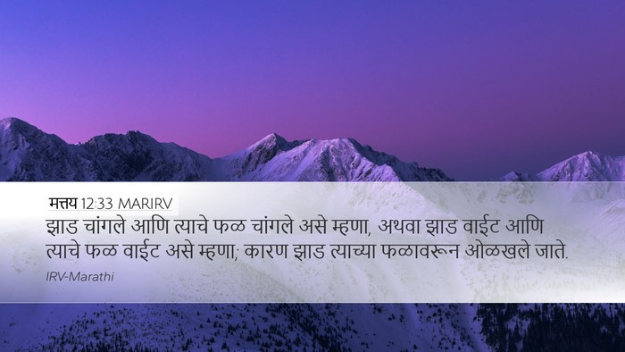 मत्तय 12:33 MARIRV Bible Verse Image
