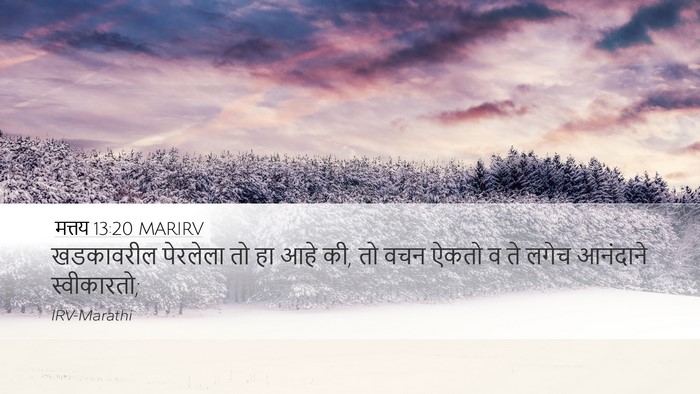 मत्तय 13:20 MARIRV Bible Verse Image