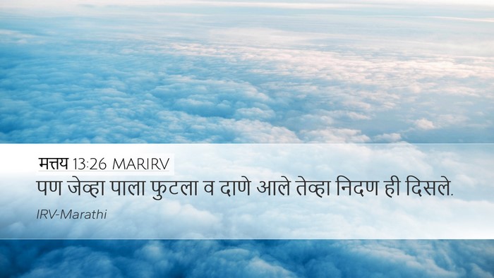 मत्तय 13:26 MARIRV Desktop Wallpaper - पण जेव्हा पाला - Desktop Bible Verse Wallpaper