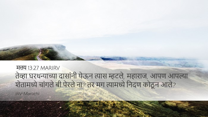 मत्तय 13:27 MARIRV Desktop Wallpaper - तेव्हा - Desktop Bible Verse Wallpaper