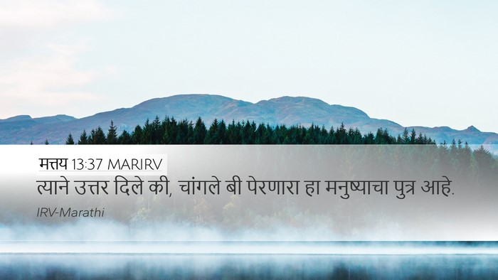 मत्तय 13:37 MARIRV Bible Verse Image