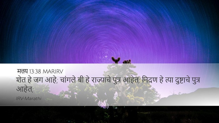 मत्तय 13:38 MARIRV Bible Verse Image