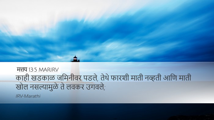 मत्तय 13:5 MARIRV Desktop Wallpaper - काही खडकाळ - Desktop Bible Verse Wallpaper