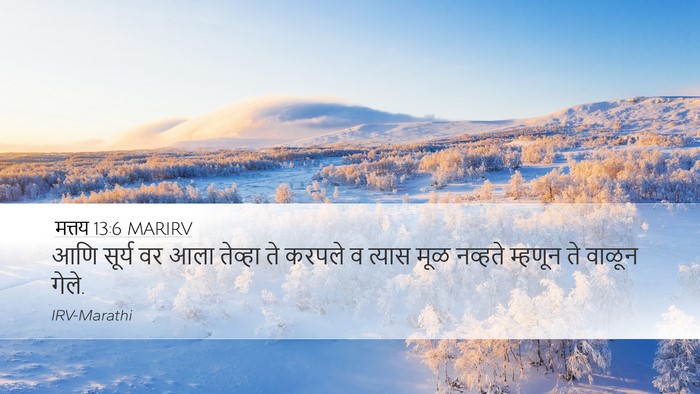 मत्तय 13:6 MARIRV Desktop Wallpaper - आणि सूर्य वर आला - Desktop Bible Verse Wallpaper
