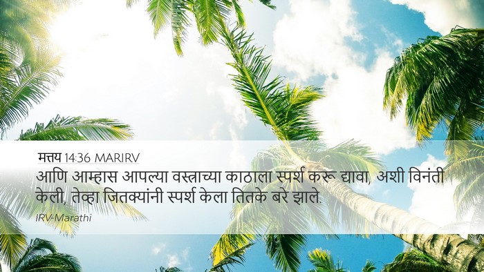 मत्तय 14:36 MARIRV Bible Verse Image