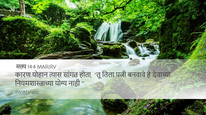 मत्तय 14:4 MARIRV Desktop Wallpaper - कारण योहान त्यास - Desktop Bible Verse Wallpaper