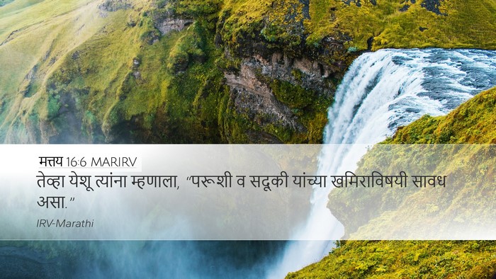 मत्तय 16:6 MARIRV Bible Verse Image