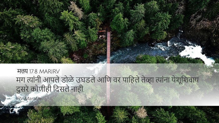 मत्तय 17:8 MARIRV Desktop Wallpaper - मग त्यांनी आपले - Desktop Bible Verse Wallpaper