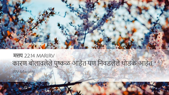 मत्तय 22:14 MARIRV Bible Verse Image