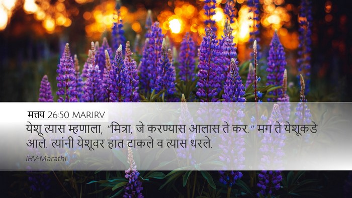 मत्तय 26:50 MARIRV Bible Verse Image
