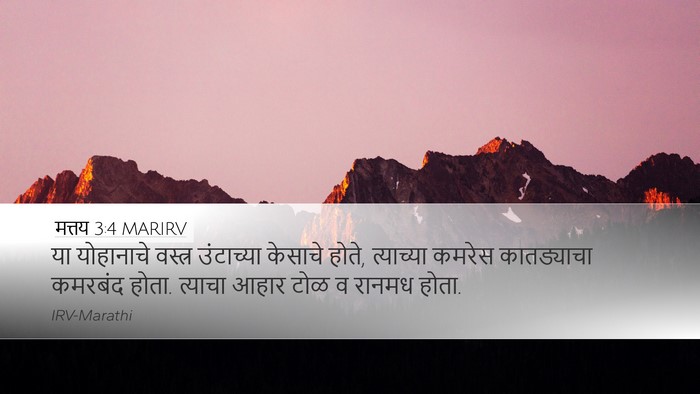 मत्तय 3:4 MARIRV Desktop Wallpaper - या योहानाचे - Desktop Bible Verse Wallpaper