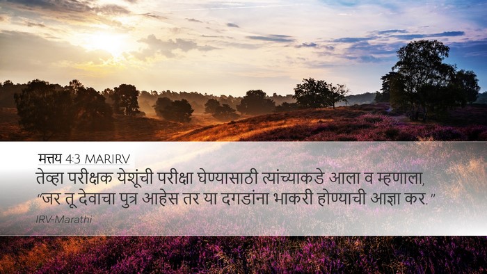 मत्तय 4:3 MARIRV Bible Verse Image