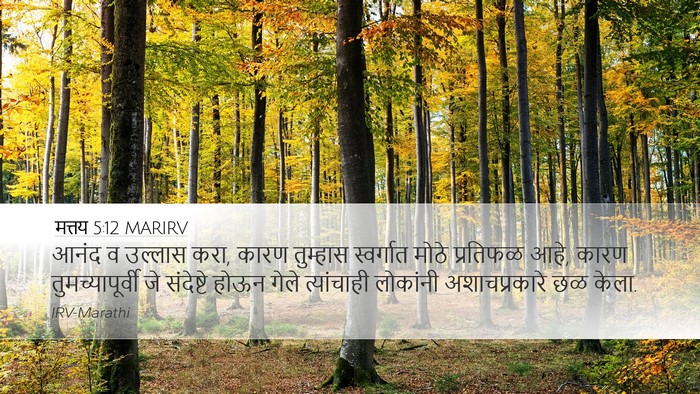 मत्तय 5:12 MARIRV Desktop Wallpaper - आनंद व उल्लास करा, - Desktop Bible Verse Wallpaper