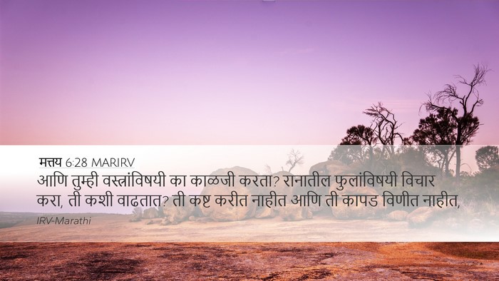 मत्तय 6:28 MARIRV Bible Verse Image