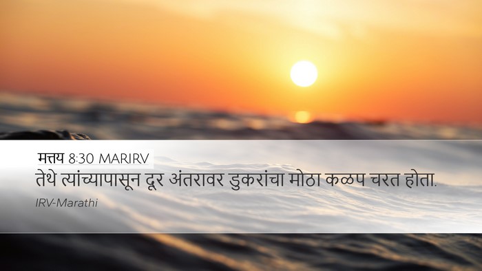 मत्तय 8:30 MARIRV Bible Verse Image