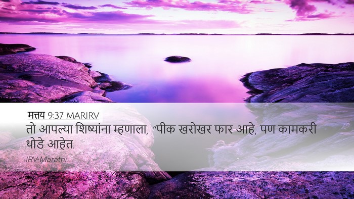 मत्तय 9:37 MARIRV Bible Verse Image