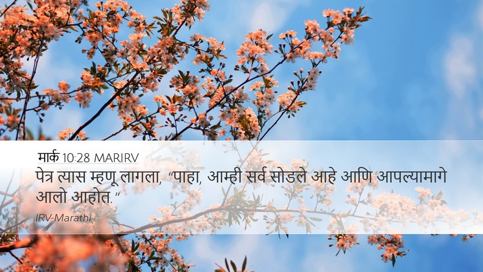 मार्क 10:28 MARIRV Bible Verse Image