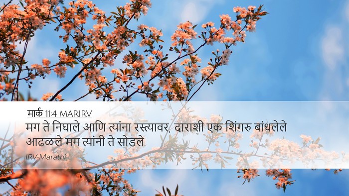 मार्क 11:4 MARIRV Bible Verse Image