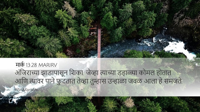 मार्क 13:28 MARIRV Bible Verse Image