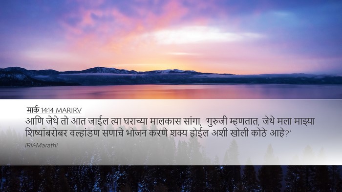 मार्क 14:14 MARIRV Desktop Wallpaper - आणि जेथे तो आत जाईल - Desktop Bible Verse Wallpaper