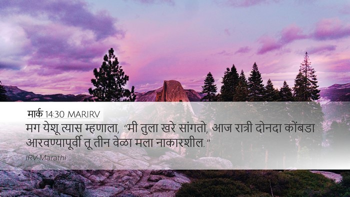 मार्क 14:30 MARIRV Bible Verse Image