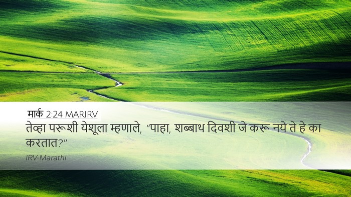 मार्क 2:24 MARIRV Bible Verse Image