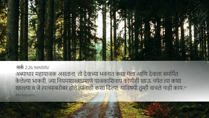 मार्क 2:26 MARIRV Desktop Wallpaper - अब्याथार महायाजक - Desktop Bible Verse Wallpaper