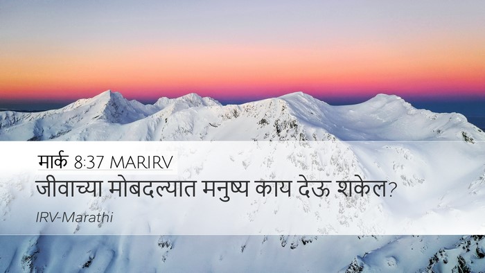मार्क 8:37 MARIRV Desktop Wallpaper - जीवाच्या - Desktop Bible Verse Wallpaper