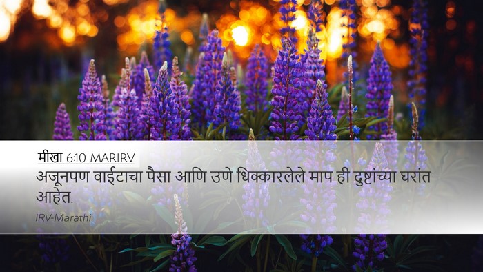 मीखा 6:10 MARIRV Bible Verse Image