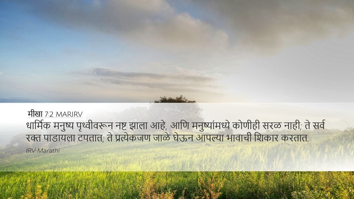 मीखा 7:2 MARIRV Bible Verse Image