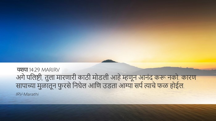 यशया 14:29 MARIRV Bible Verse Image