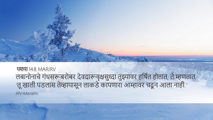 यशया 14:8 MARIRV Bible Verse Image