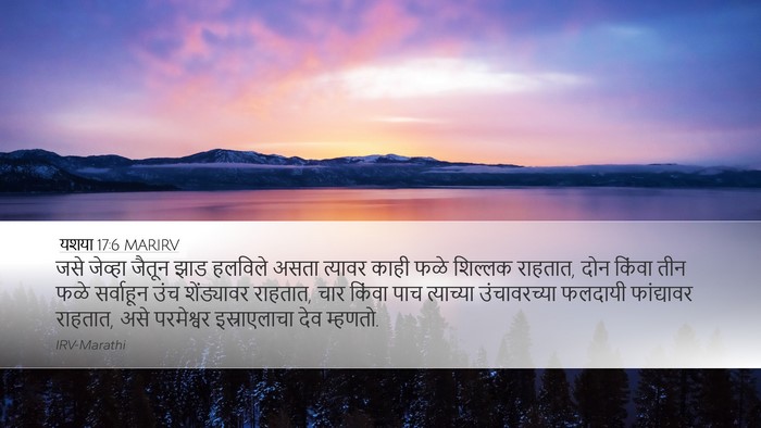 यशया 17:6 MARIRV Bible Verse Image