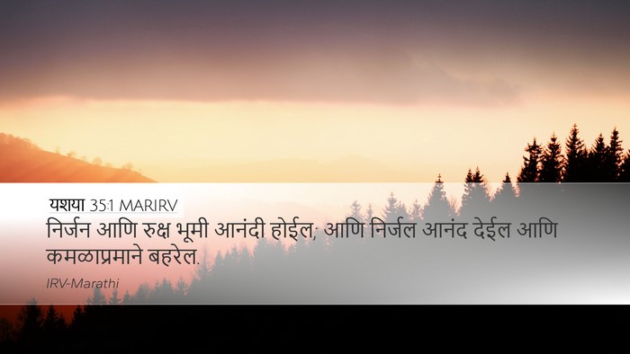 यशया 35:1 MARIRV Bible Verse Image