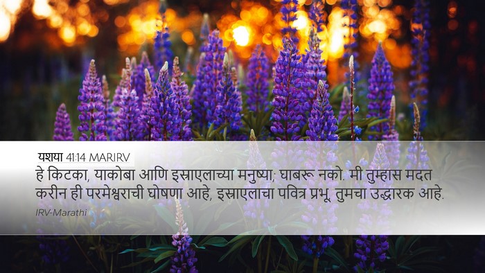 यशया 41:14 MARIRV Bible Verse Image