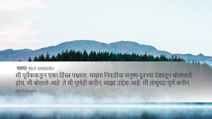 यशया 46:11 MARIRV Bible Verse Image