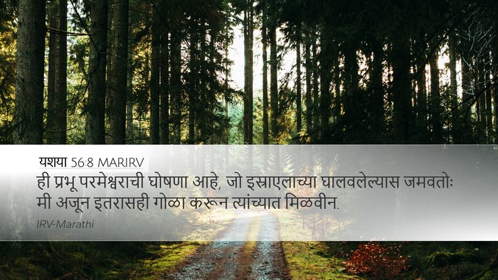 यशया 56:8 MARIRV Bible Verse Image