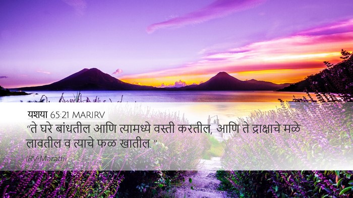 यशया 65:21 MARIRV Bible Verse Image