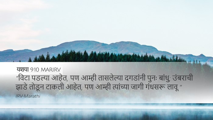 यशया 9:10 MARIRV Bible Verse Image