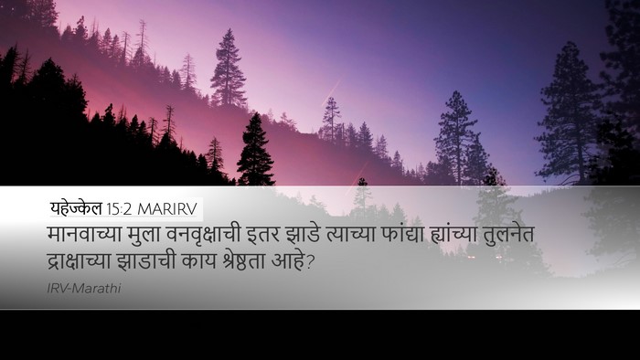 यहेज्केल 15:2 MARIRV Bible Verse Image