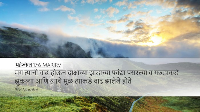 यहेज्केल 17:6 MARIRV Bible Verse Image