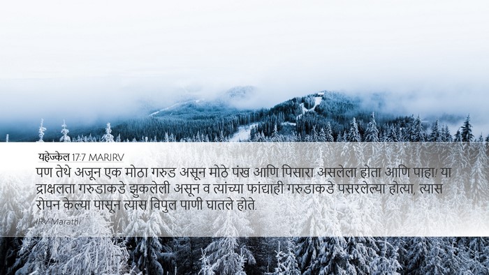 यहेज्केल 17:7 MARIRV Bible Verse Image