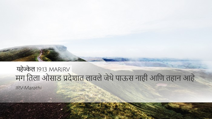 यहेज्केल 19:13 MARIRV Bible Verse Image