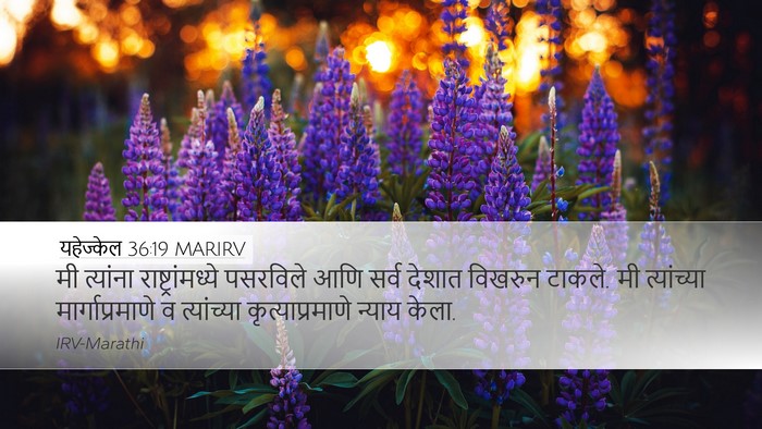 यहेज्केल 36:19 MARIRV Bible Verse Image