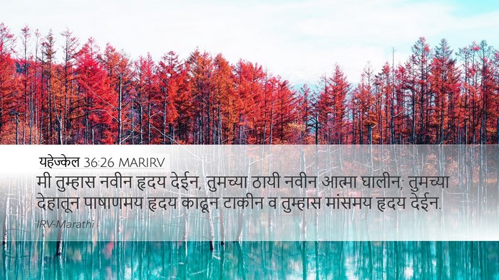 यहेज्केल 36:26 MARIRV Bible Verse Image